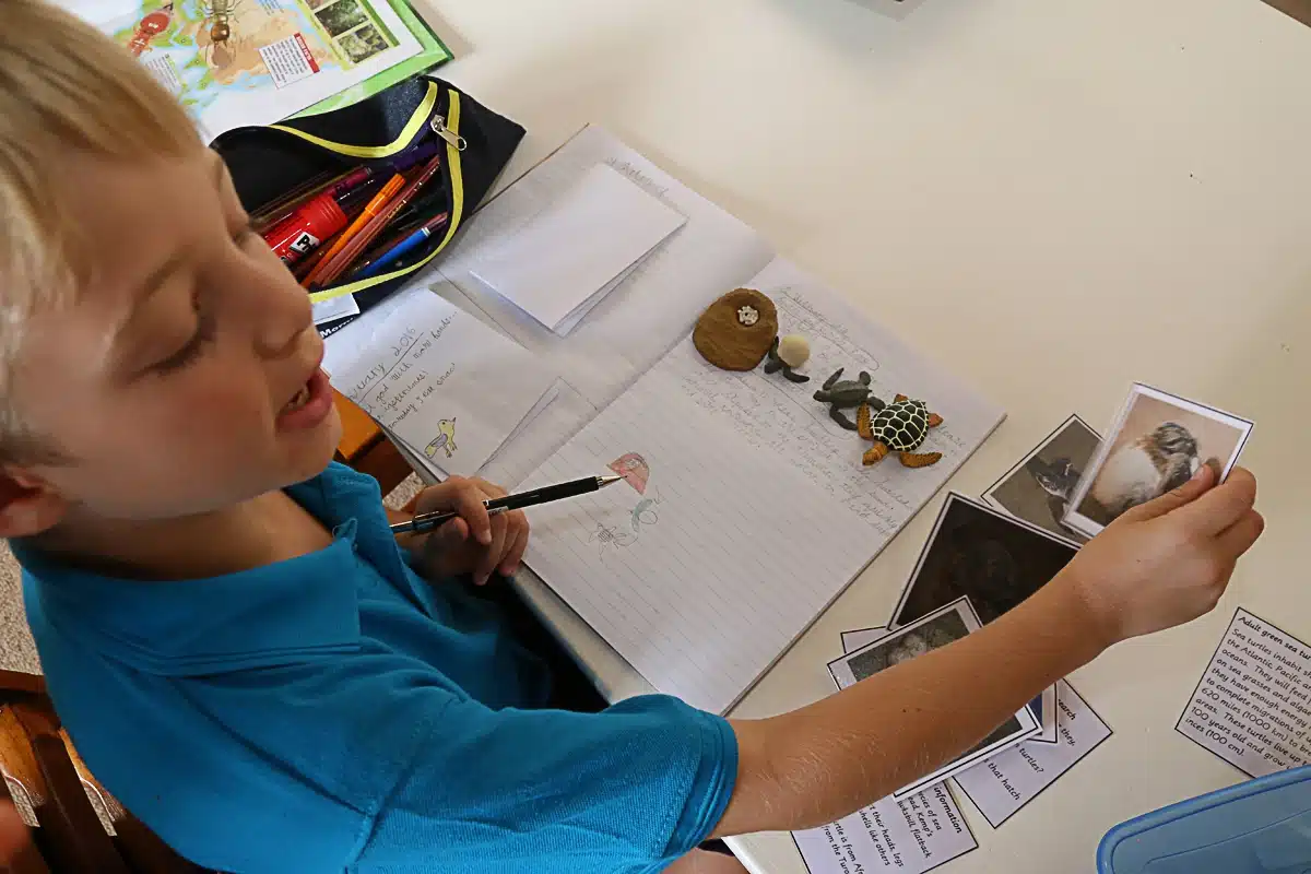 WorkingChild